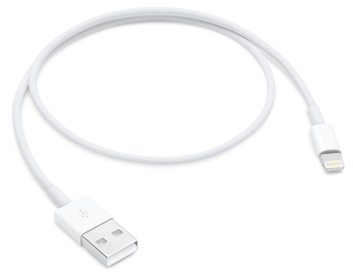 Lightning to USB Cable (0.5 m)